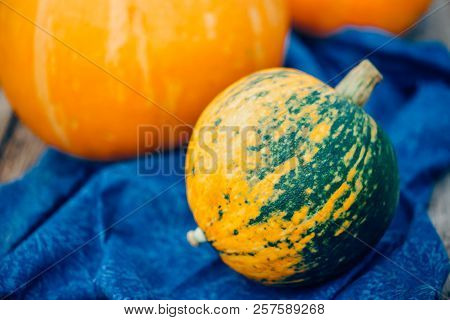 Mottled Orange-green Pumpkin, Closeup, Halloween