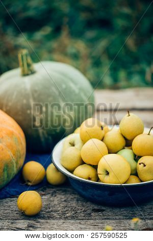 Autumn Harvest. Apples, Pears And Pumpkins On A Wooden Table