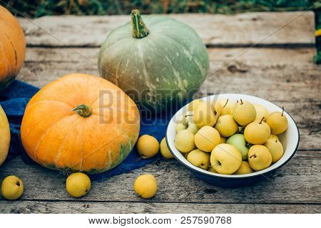 Autumn Harvest. Apples, Pears In Bowl, Orange And Green Pumpkins