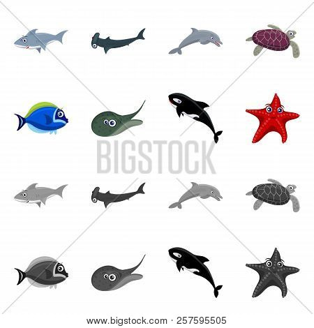 Vector Design Of Sea And Animal Sign. Collection Of Sea And Marine Vector Icon For Stock.