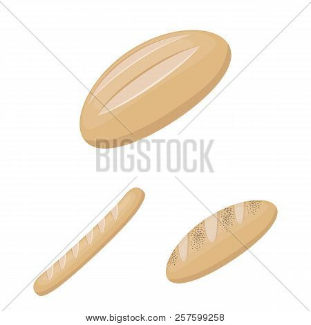 Types Of Bread Cartoon Icons In Set Collection For Design. Bakery Products Vector Symbol Stock Web I