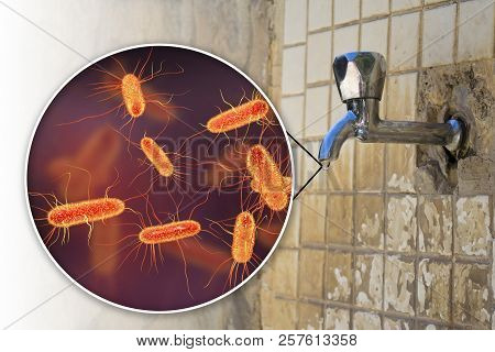 Safety Of Drinking Water Concept, 3d Illustration Showing Escherichia Coli Bacteria Contaminating Dr