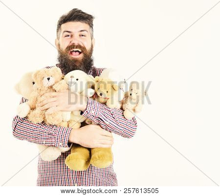 Macho With Beard Hugs Many Teddy Bears And Plush Toys. Gifts And Holidays Concept. Man With Happyfac