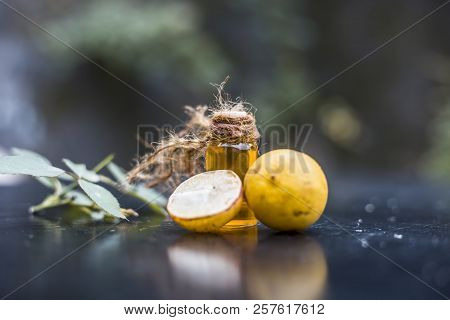 Close Up Of Floral And Herbal Essence Of Lemon Or Limbo Or Citrus × Limon In A Transparent Bottle Wi