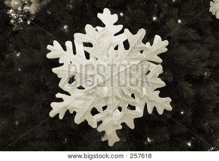 Schneeflocke-Sepia