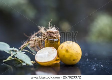 Close Up Of Floral And Herbal Essence Of Lemon Or Limbo Or Citrus × Limon In A Transparent Bottle Wi