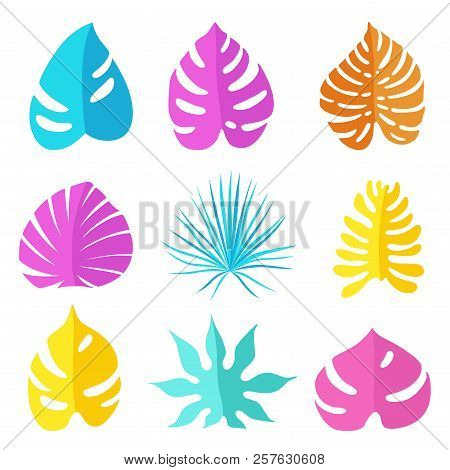 Set Of Colored Bright Tropical Leaves Of Different Types And Forms. Vector Illustration