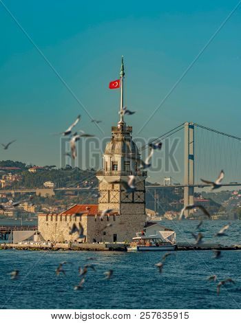 Seagulls and The Maiden's Tower and The Bosphorus Bridge on the background in Istanbul Turkey