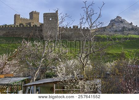 Genoese Fortress In Sudak, Crimea. View Of The Fortress Walls And Towers From The Flowering Orchard.
