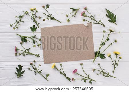 Blank Paper And Unripe Flowers On White Wood. Copyspace, Free Space For Text.