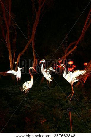 MONTREAL,CANADA- SEPT 8 2018: Botanical garden exhibit in Mtl Glittering lanterns of various shapes illuminate the Chinese Garden and the eyes of thousands of visitors who come to enjoy the spectacle