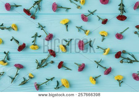 Dahlia Flowers Sprinkled On Blue Wood. Top View. Scattered Red, Pink And Yellow Flowers.