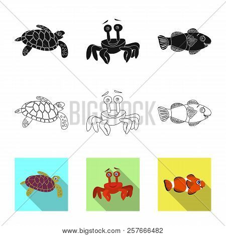 Vector Design Of Sea And Animal Sign. Set Of Sea And Marine Stock Vector Illustration.