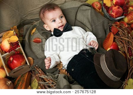 autumn concept - child boy lie on yellow leaves with fruits and vegatbles, red apples and pumpkins
