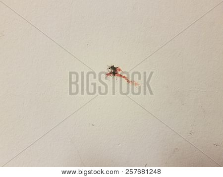 Smashed Mosquito With Red Blood On White Wall