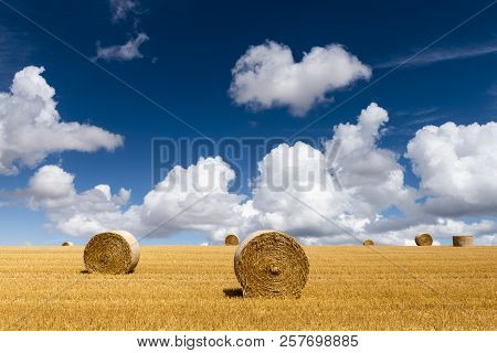 Straw Bales Composition On An Agricultural Grain Field In The Morvan, France.
