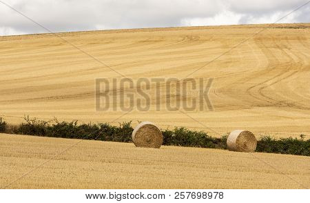 Straw Bales Composition On An Agricultural Grain Field In The Morvan, France.
