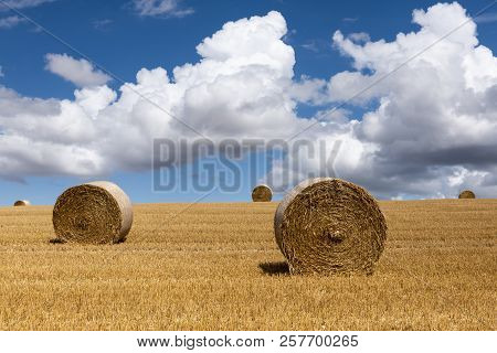Straw Bales Composition On An Agricultural Grain Field In The Morvan, France.