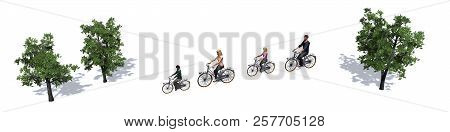 Family With Bicycles On The Road - Isolated On White Background - 3d Illustration