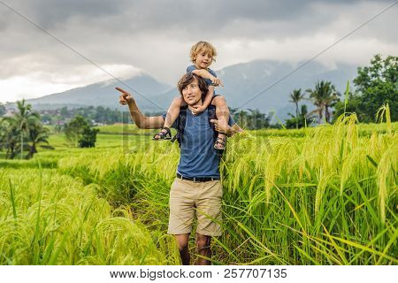 Dad And Son Travelers On Beautiful Jatiluwih Rice Terraces Against The Background Of Famous Volcanoe