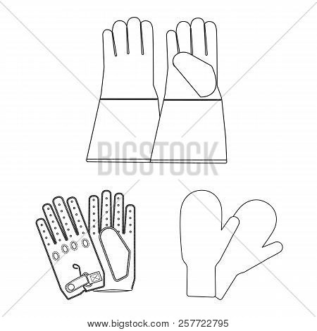 Vector Design Of Glove And Winter Logo. Set Of Glove And Equipment Stock Vector Illustration.