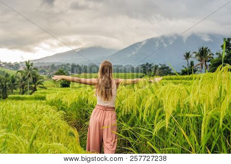 Young Woman Traveler On Beautiful Jatiluwih Rice Terraces Against The Background Of Famous Volcanoes