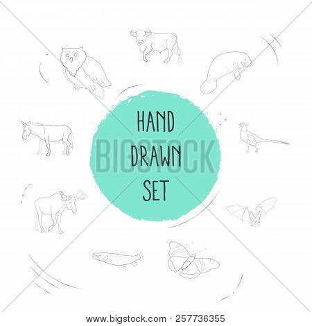 Set Of Animal Icons Line Style Symbols With Salmon, Pheasant, Owl And Other Icons For Your Web Mobil