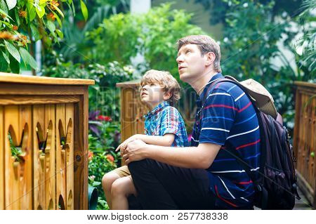 Father And Preschool Kid Boy Discovering Flowers, Plants And Butterflies At Botanic Garden. Family, 