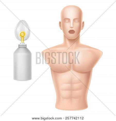 Vector 3d Realistic Human Body For Training Of Artificial Respiration, Equipment For Lifeguards, Med