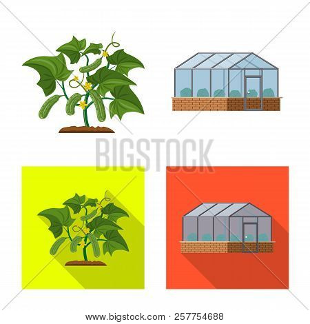 Vector Design Of Greenhous And Plant Sign. Set Of Greenhous And Garden Stock Vector Illustration.