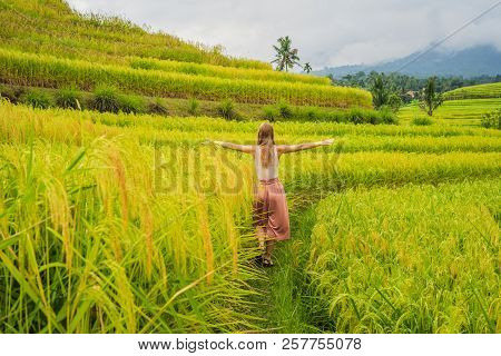 Young Woman Traveler On Beautiful Jatiluwih Rice Terraces Against The Background Of Famous Volcanoes