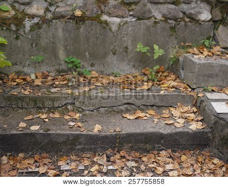 Old Stone Steps Ccovered With Autumn Foliafe, Outdoor Closeup