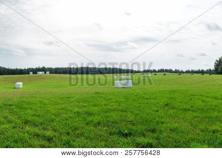 Sunny Meadow And Hay Making. Season Of Harvest In Agriculture.