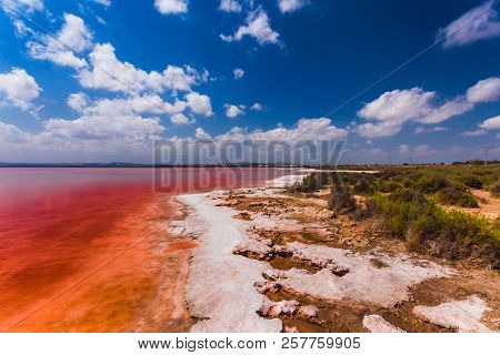 The Salty Shore Of The Laguna Salada De Torrevieja.spain.