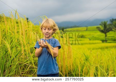 Boy Traveler On Beautiful Jatiluwih Rice Terraces Against The Background Of Famous Volcanoes In Bali