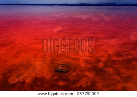 The Salty Shore Of The Laguna Salada De Torrevieja.spain.