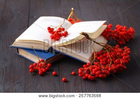 Seasonal Berries On Books As Simbol Of Begin Of New Educationaal Season