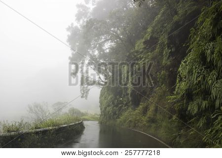 Downpour Raining On Narrow Highway In Maui Hawaii During Tropical Storm