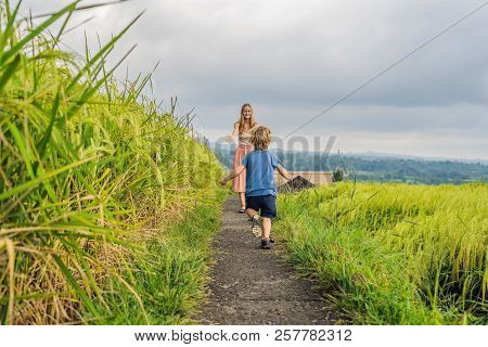 Mom And Son Travelers On Beautiful Jatiluwih Rice Terraces Against The Background Of Famous Volcanoe