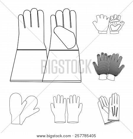 Vector Design Of Glove And Winter Symbol. Set Of Glove And Equipment Stock Symbol For Web.