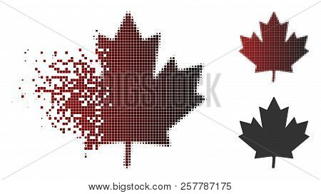Maple Leaf Icon In Sparkle, Dotted Halftone And Undamaged Entire Versions. Particles Are Arranged In