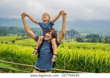 Dad And Son Travelers On Beautiful Jatiluwih Rice Terraces Against The Background Of Famous Volcanoe