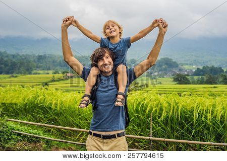 Dad And Son Travelers On Beautiful Jatiluwih Rice Terraces Against The Background Of Famous Volcanoe