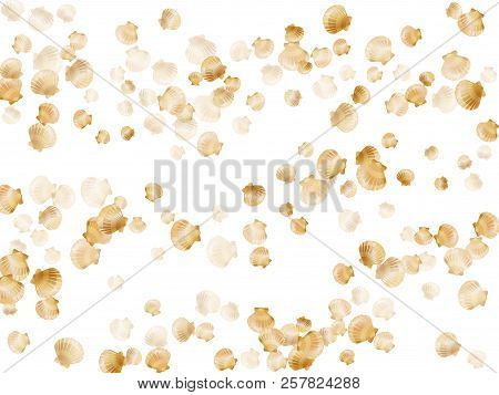 Gold Seashells Vector, Golden Pearl Bivalved Mollusks. Cute Scallop, Bivalve Pearl Shell, Marine Mol