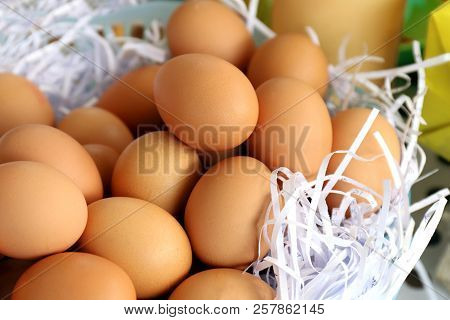 Egg, Fresh Eggs, Eggs In Market For Sale
