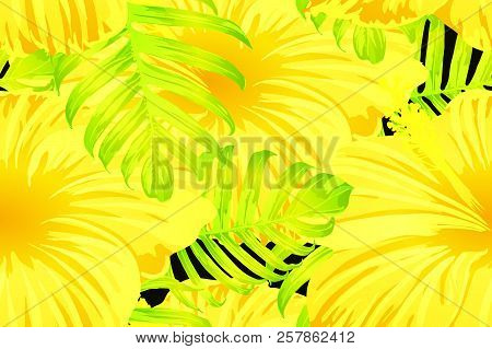 Yellow Exotic Pattern. Monstera And Hibiscus Flowers Tropical Bouquet.  Saturated Large Floral Swimw
