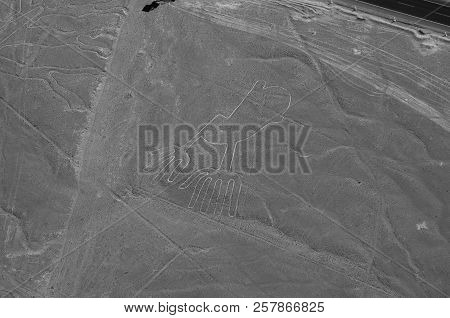 The Hands - Nasca Lines - Peru