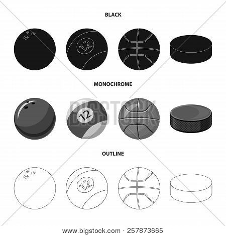 Vector Illustration Of Sport And Ball Logo. Set Of Sport And Athletic Stock Vector Illustration.