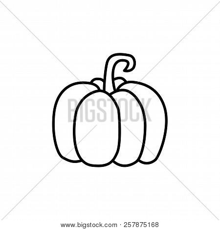 Black & White Vector Illustration Of Pumpkin Vegetable. Line Icon Of Fresh Organic Winter Squash Veg