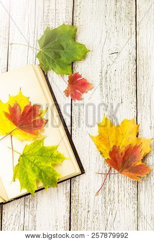 Open Book And Colorful Maple Leaves On White Wooden Background